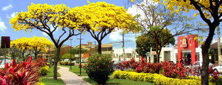 Santa cruz de. Санта-Крус-де-ла-Сиерра. Санта-Крус-де-Боливия. Bolivia Santa Cruz. Г. Санта-Крус-де-ла-Сьерра, Боливия.